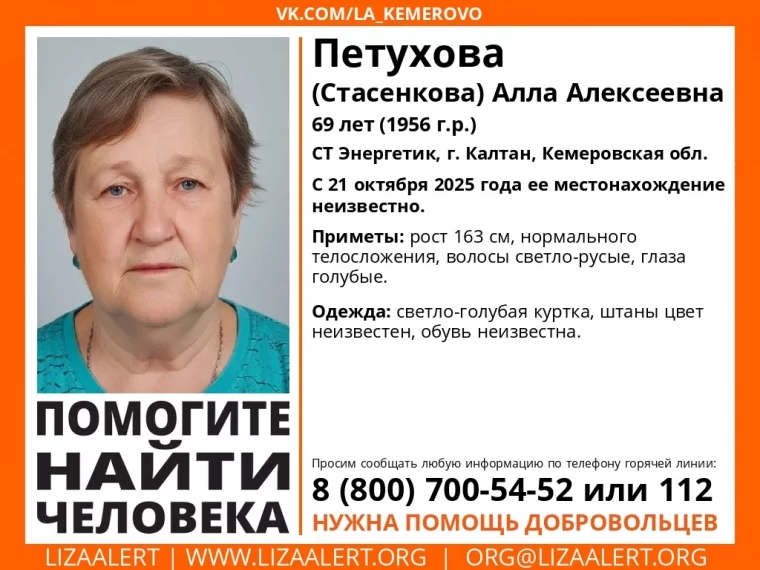 Фото: В Кузбассе на даче без вести пропала 69-летняя женщина в голубой куртке 1