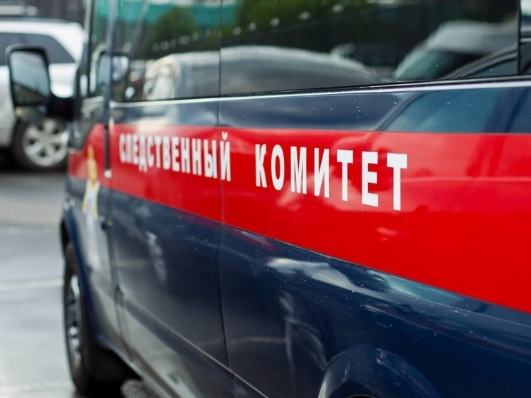 Нижегородские следователи расследуют причины гибели на пожаре 62-летней женщины