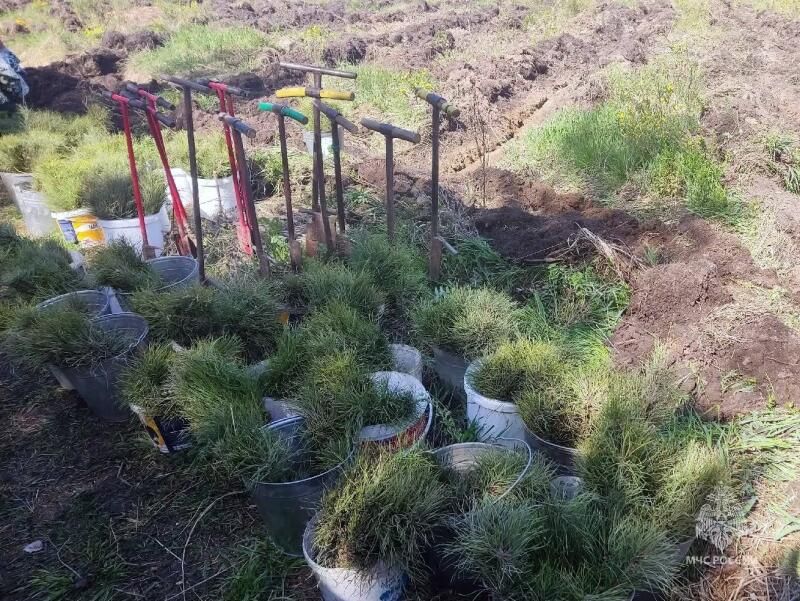 Доброе дело, которое останется на десятилетия