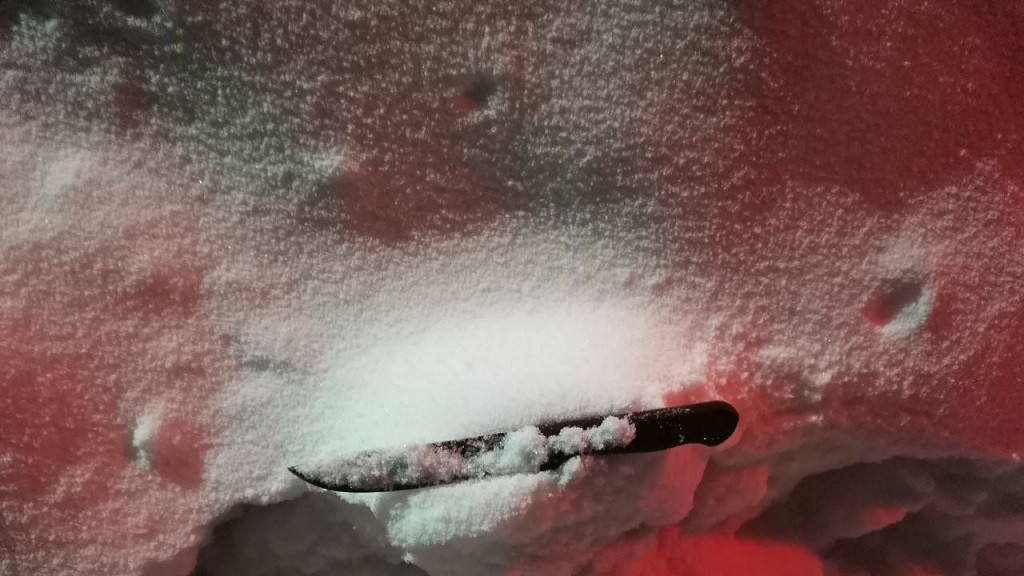 Фото: СУ СК РФ по Алтайскому краю