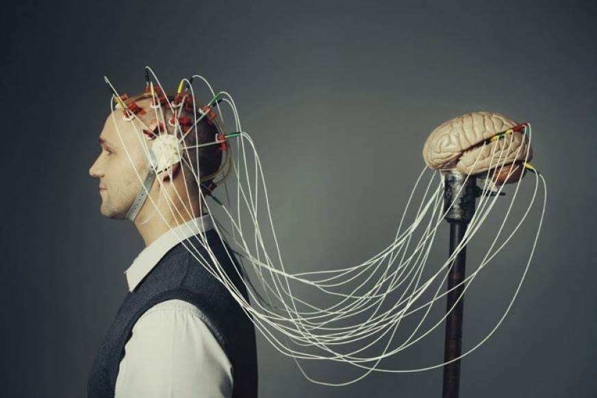 В Австралии ученые «оживили» мозг композитора