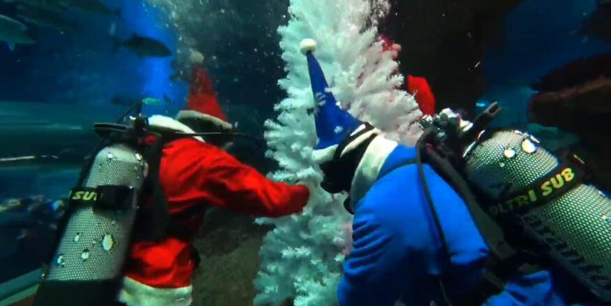 FEA95FD9057AF843EA1DCD4526644523