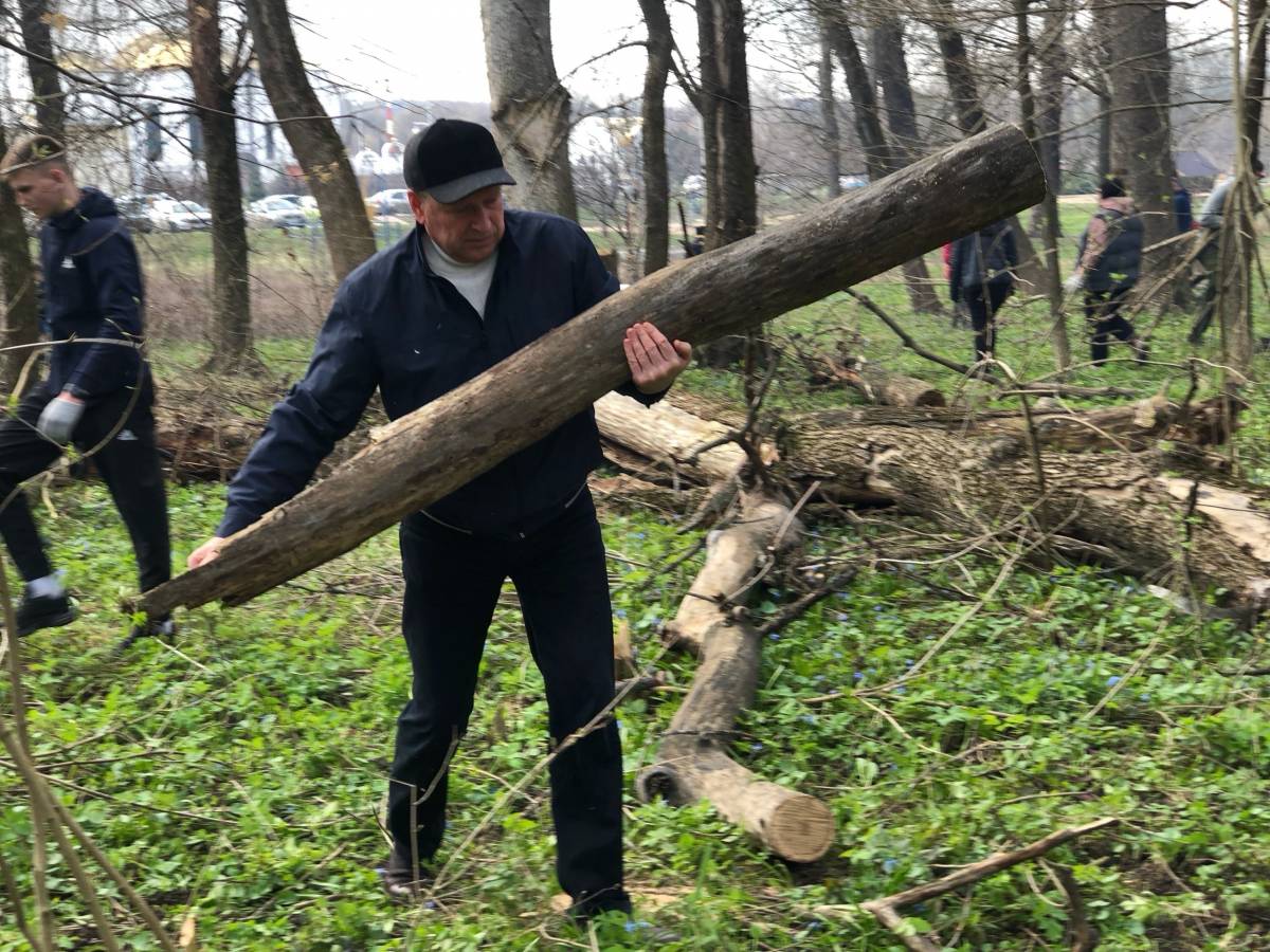 Новости васильдола