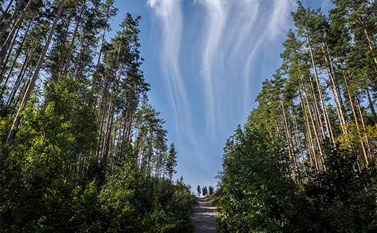 Фото: Руслан Шамуков/ТАСС