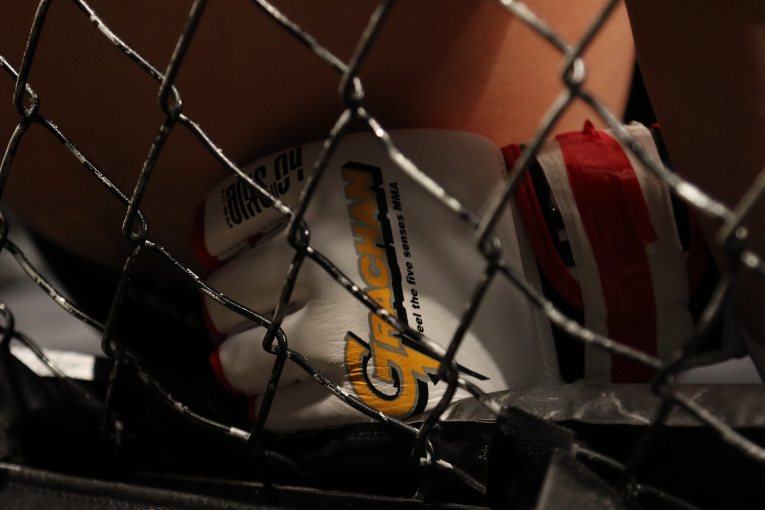 Мокаев в декабре проведет свой первый бой после увольнения из UFC