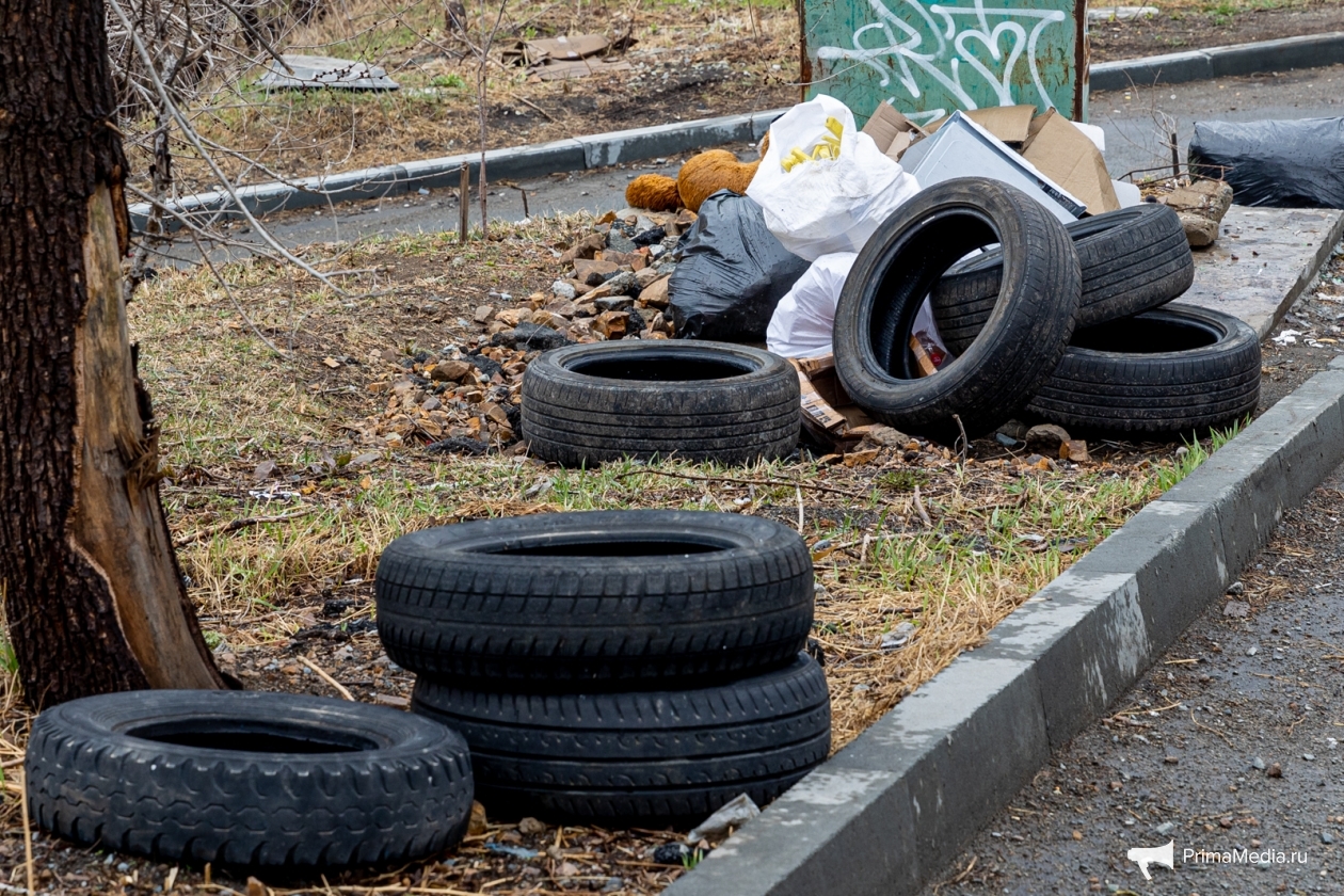 Старые шины. Брошенные шины. Можно ли выкидывать шины. Шины около мусорных контейнеров. Старые покрышки.
