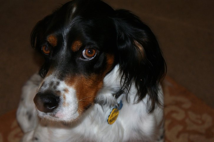 Фото: Cortney Dean/Flickr.com