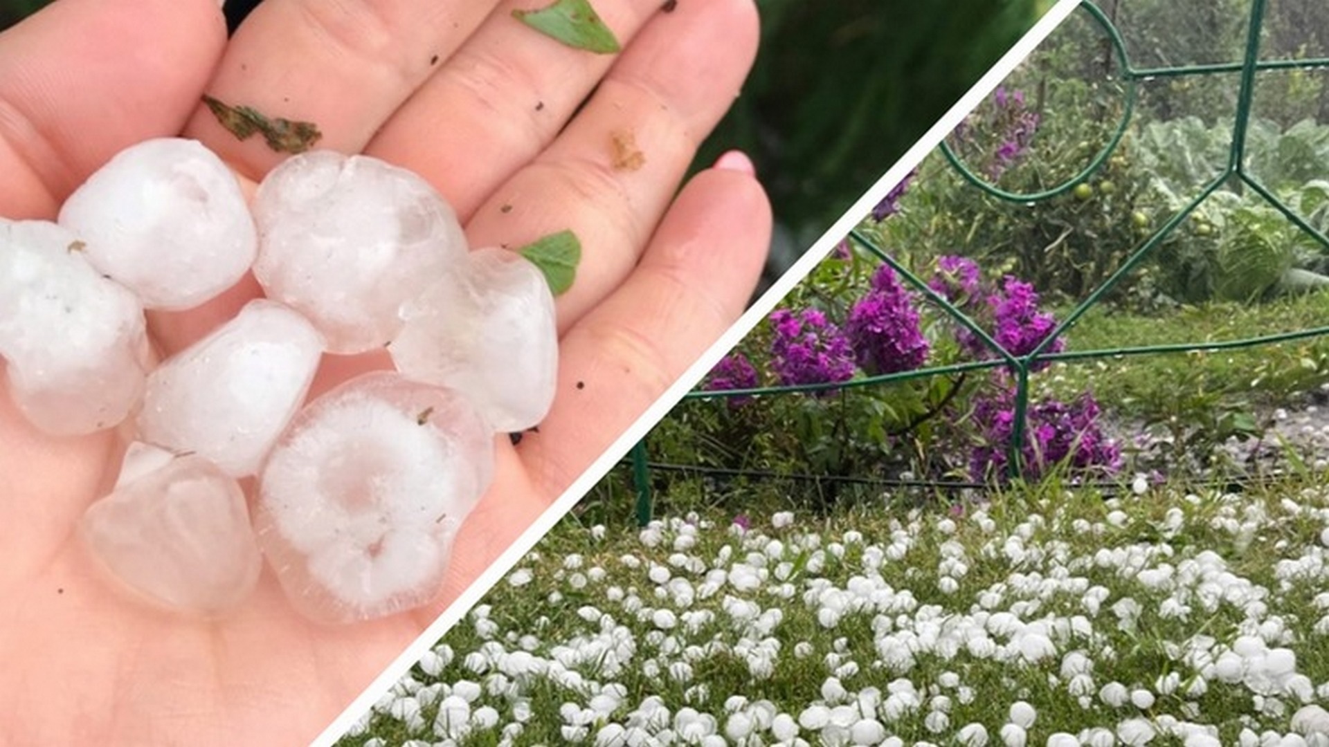 Крыс град. Под градом. Град на улице. Сильный град. Огромный град.