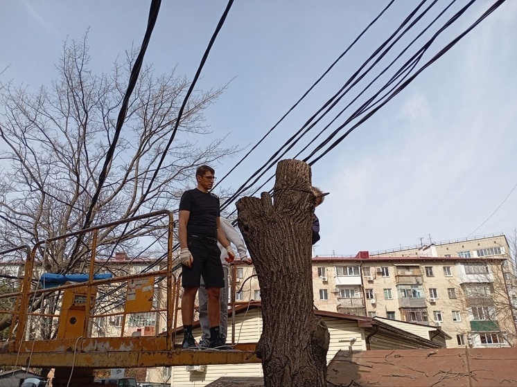 Народные избранники Кубани наводят порядок в своих округах и организуют гуманитарную помощь