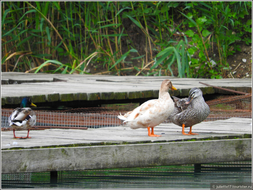 Затерянный мир Сулакского каньона