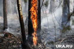 За нарушение пожарной безопасности выписано 76 штрафов