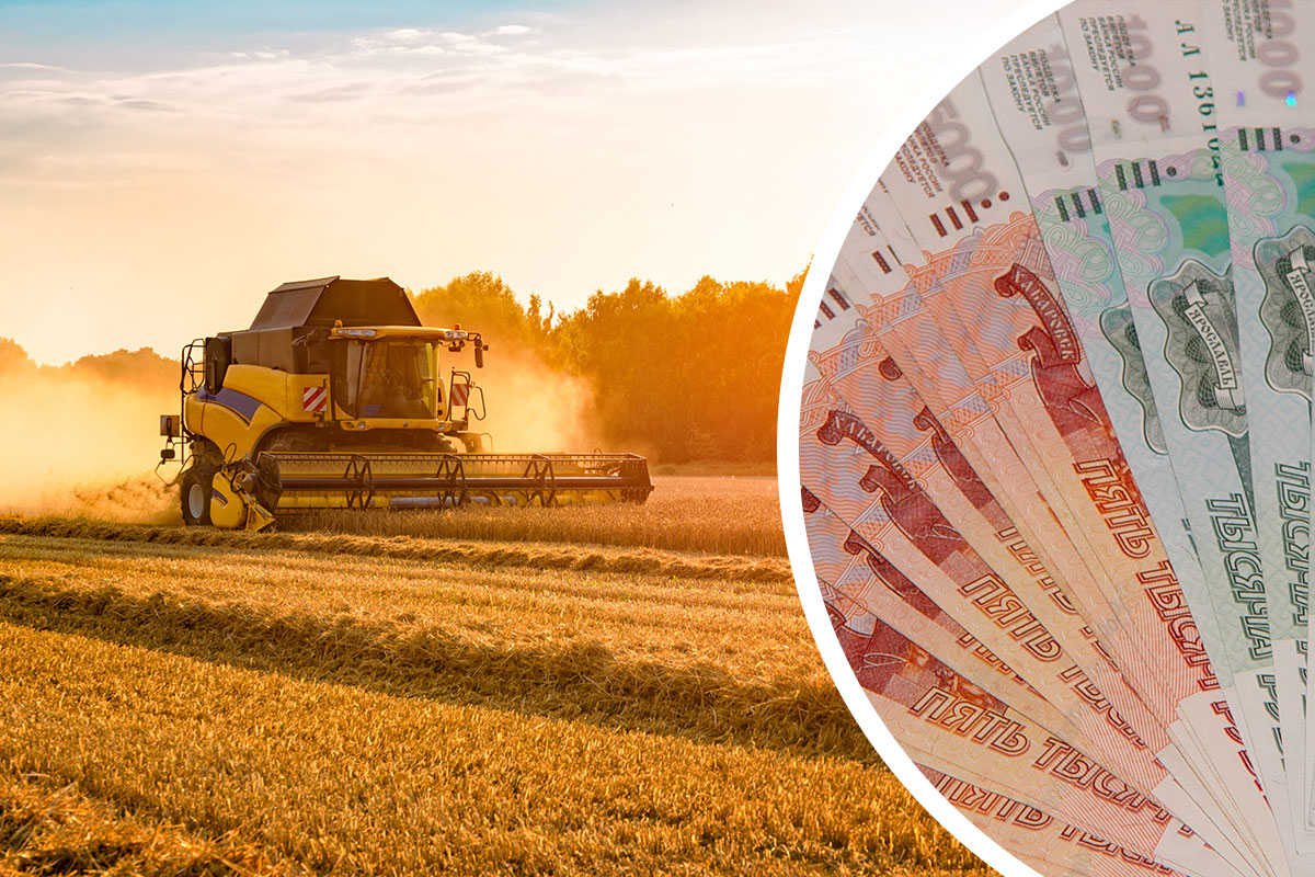 Итоги работы АПК Кемеровской области в 2025 году в цифрах