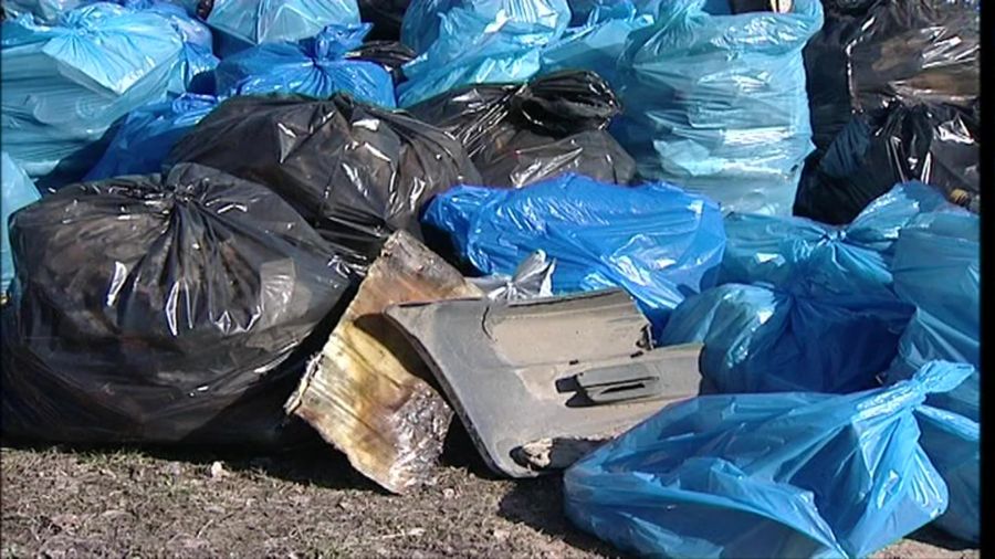 Ярославцы приняли участие во Всероссийском субботнике