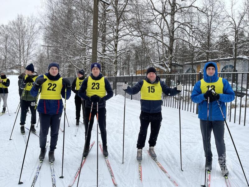 Лыжные гонки