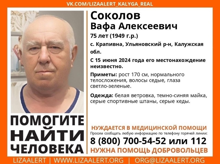 Пожилой мужчина пропал в Калужской области