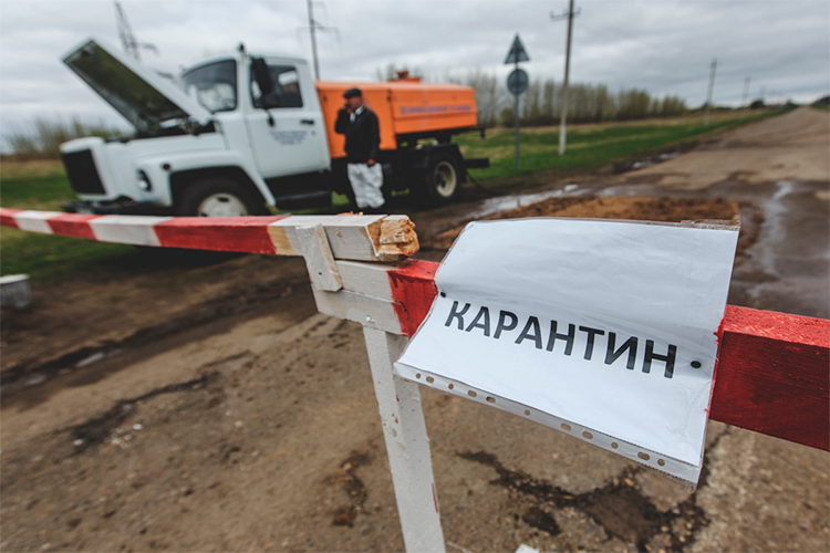 Вспышки бешенства — впервые за три года