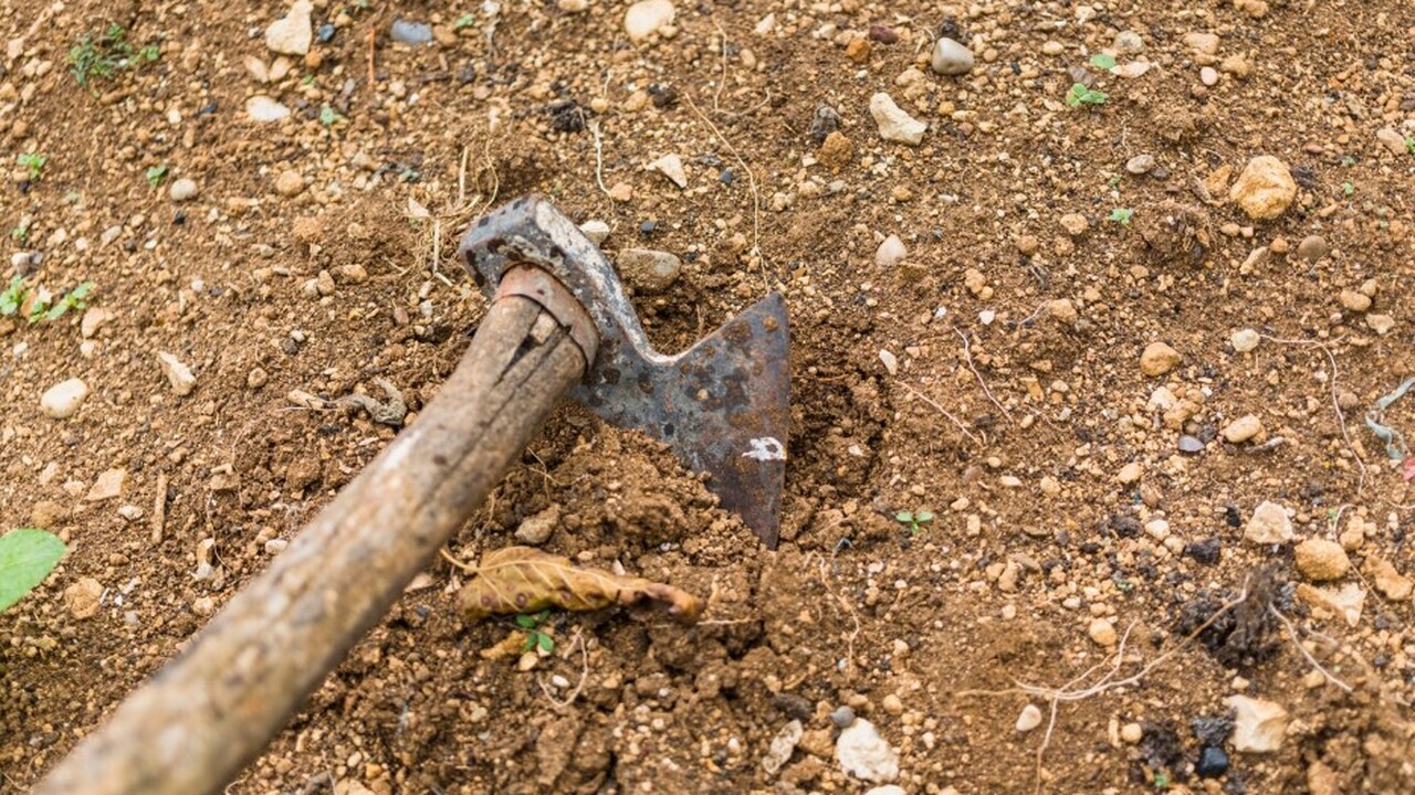 Антропологи провели детальный анализ черепа неа...