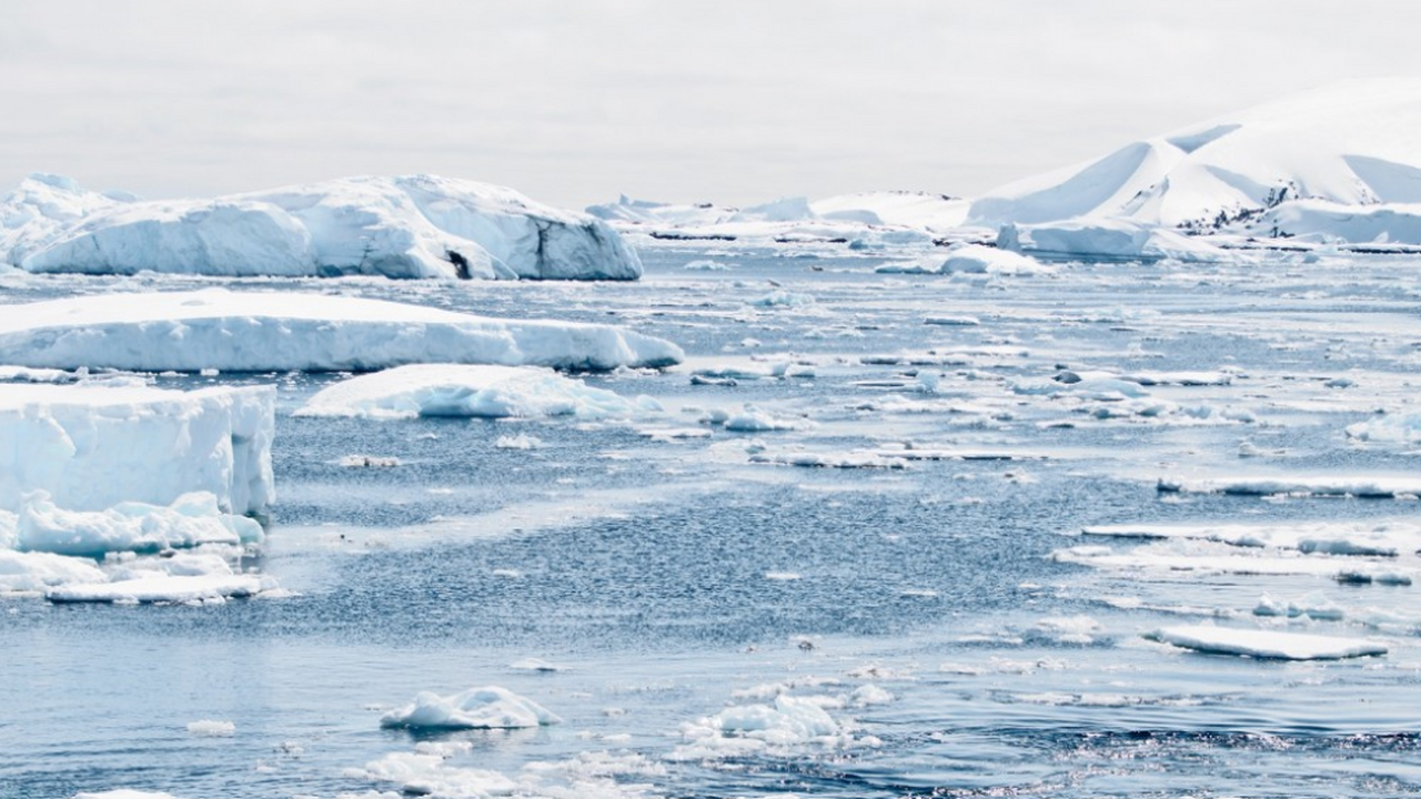 Органические вещества, поступающие в российскую...