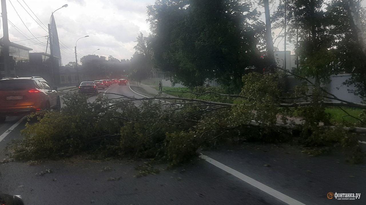 Погода в Санкт-Петербурге на 10 дней