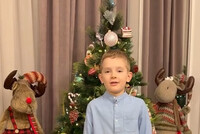 Почему бодливому быку бог рога не дал?